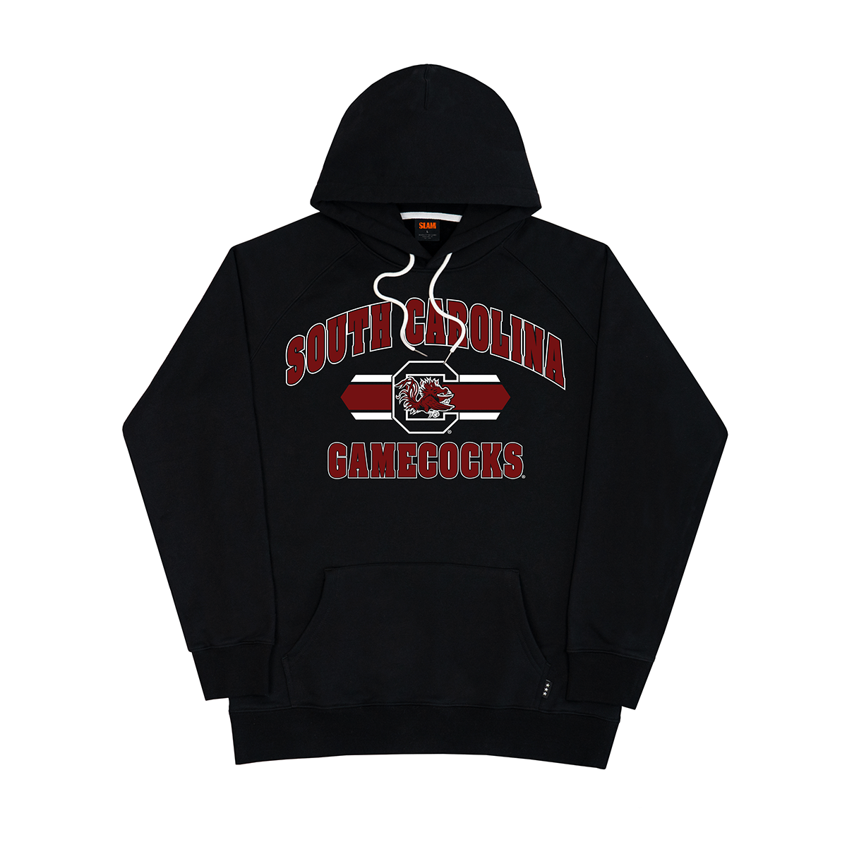 South Carolina Logo Stripe Hoodie