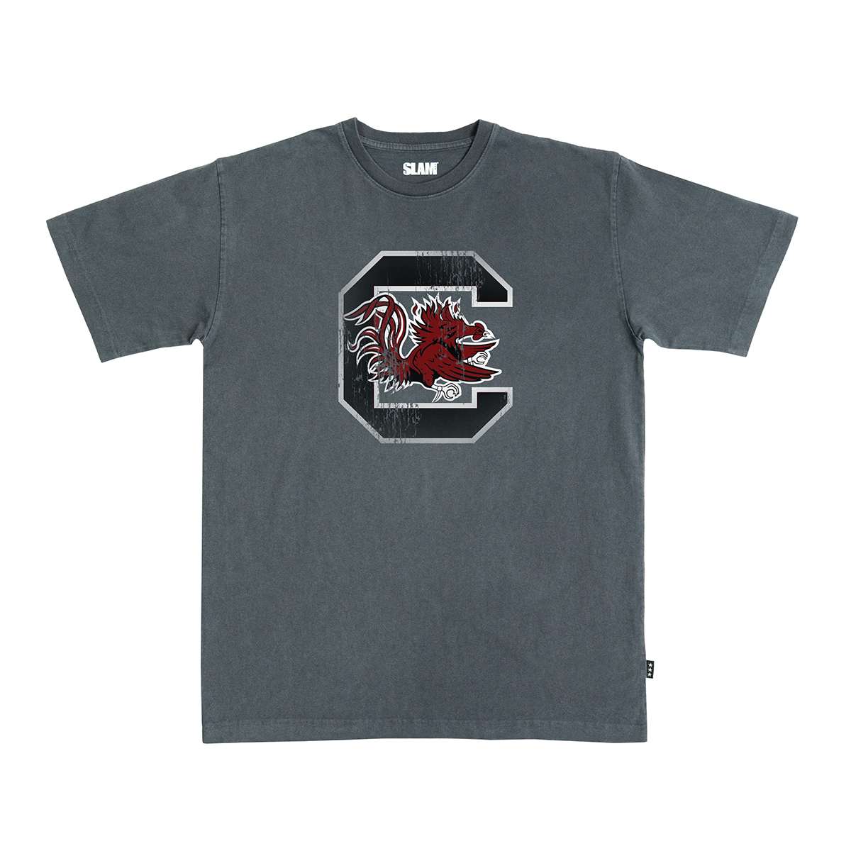 South Carolina Logo Heavy Tee