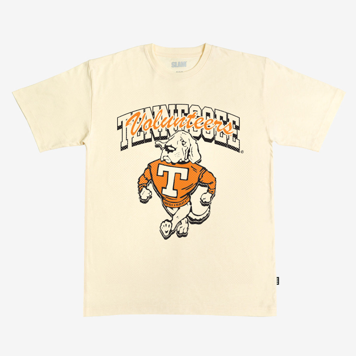 Tennessee Alma Mater Heavy Tee