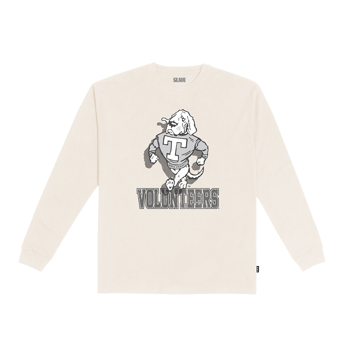 Tennessee Monochromatic L/S Tee