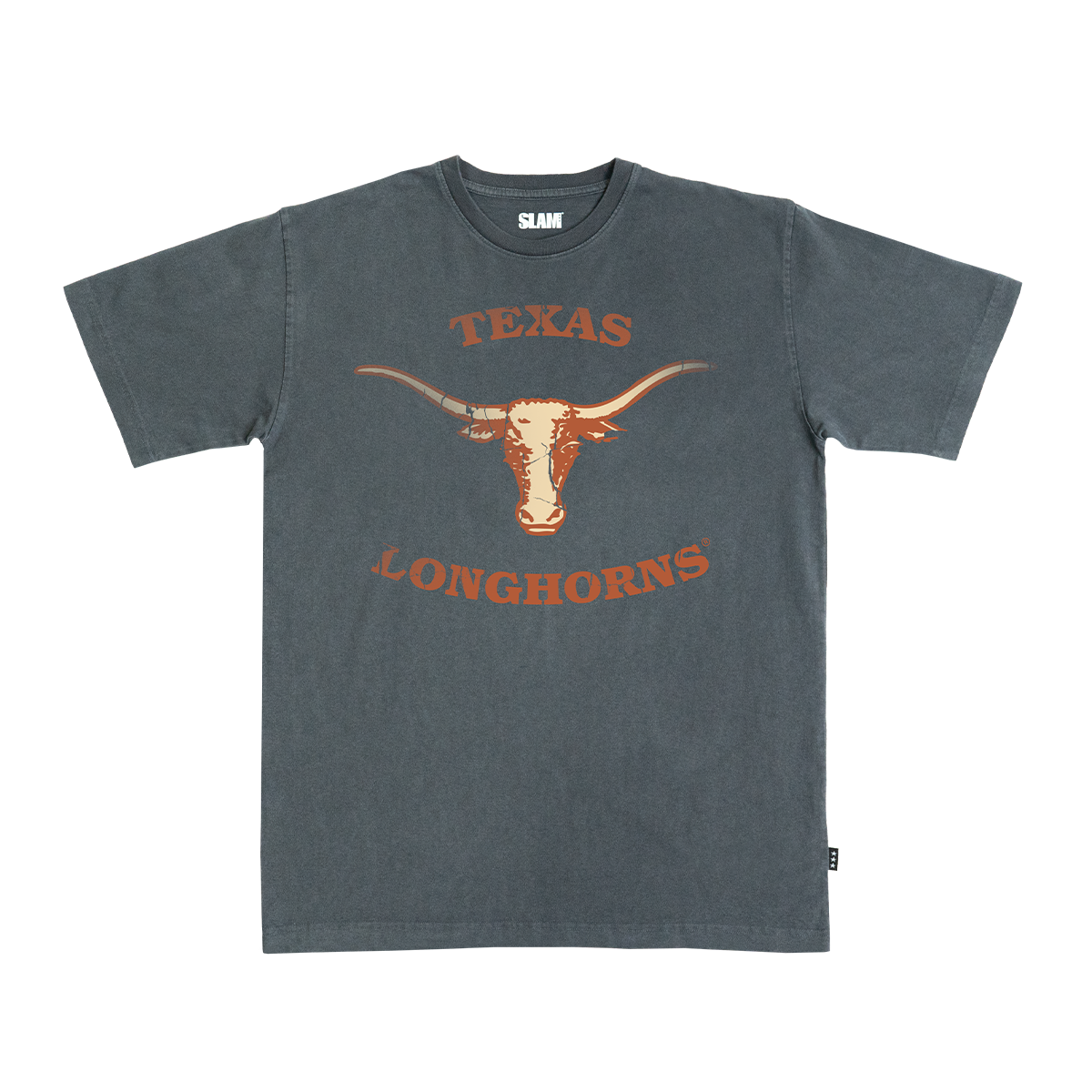 Texas Logo Heavy Tee