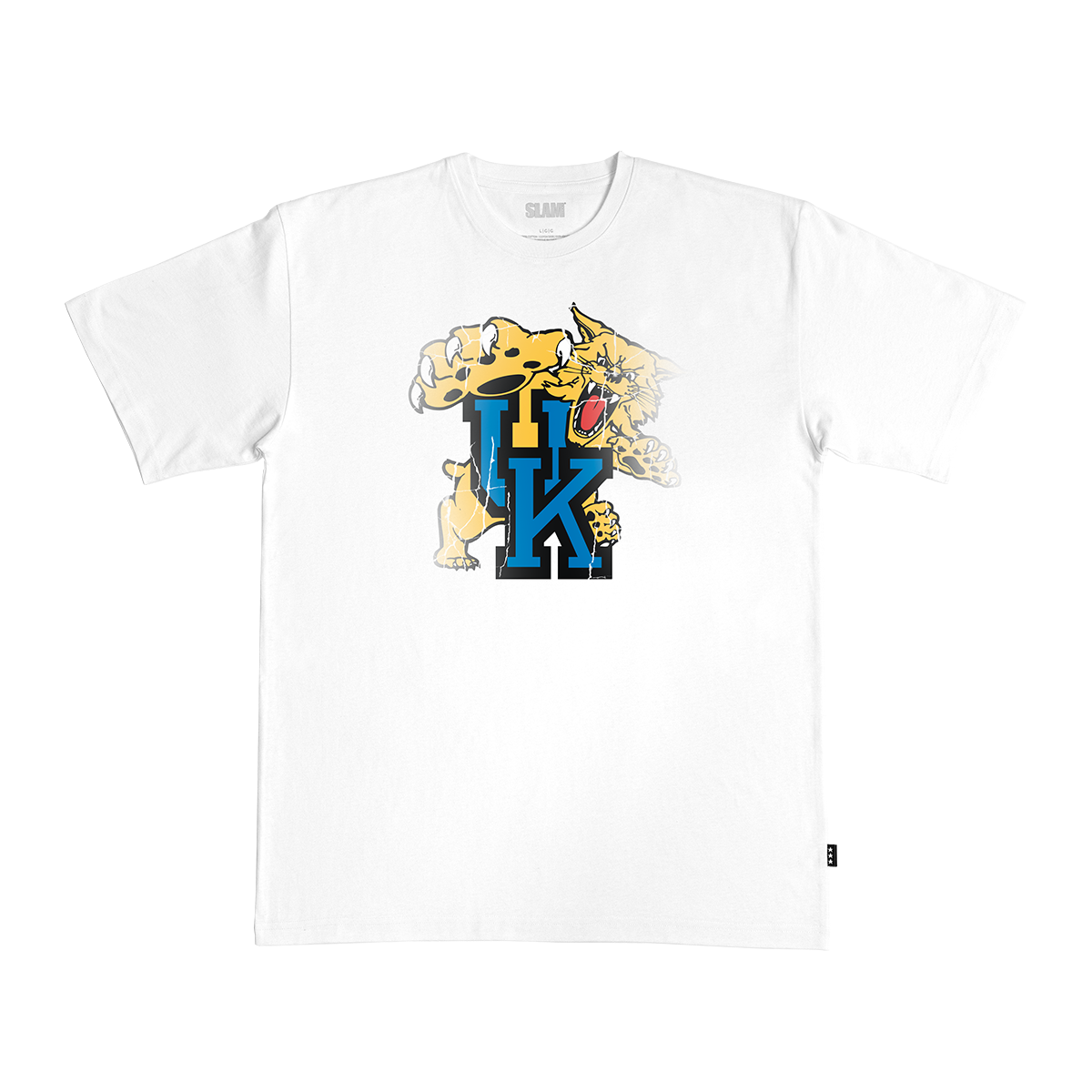 Kentucky Logo Heavy Tee