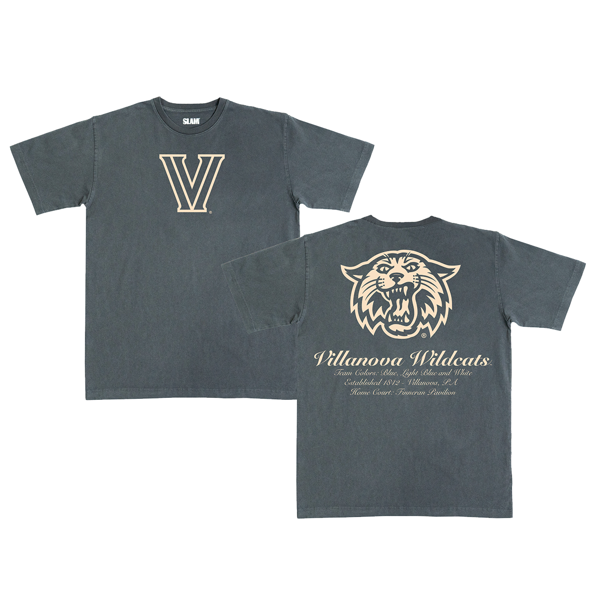 Villanova Monochromatic Heavy Tee