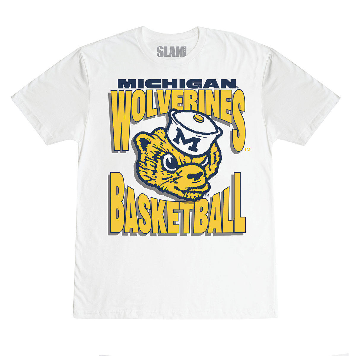 Michigan Wolverines Basketball Vintage T