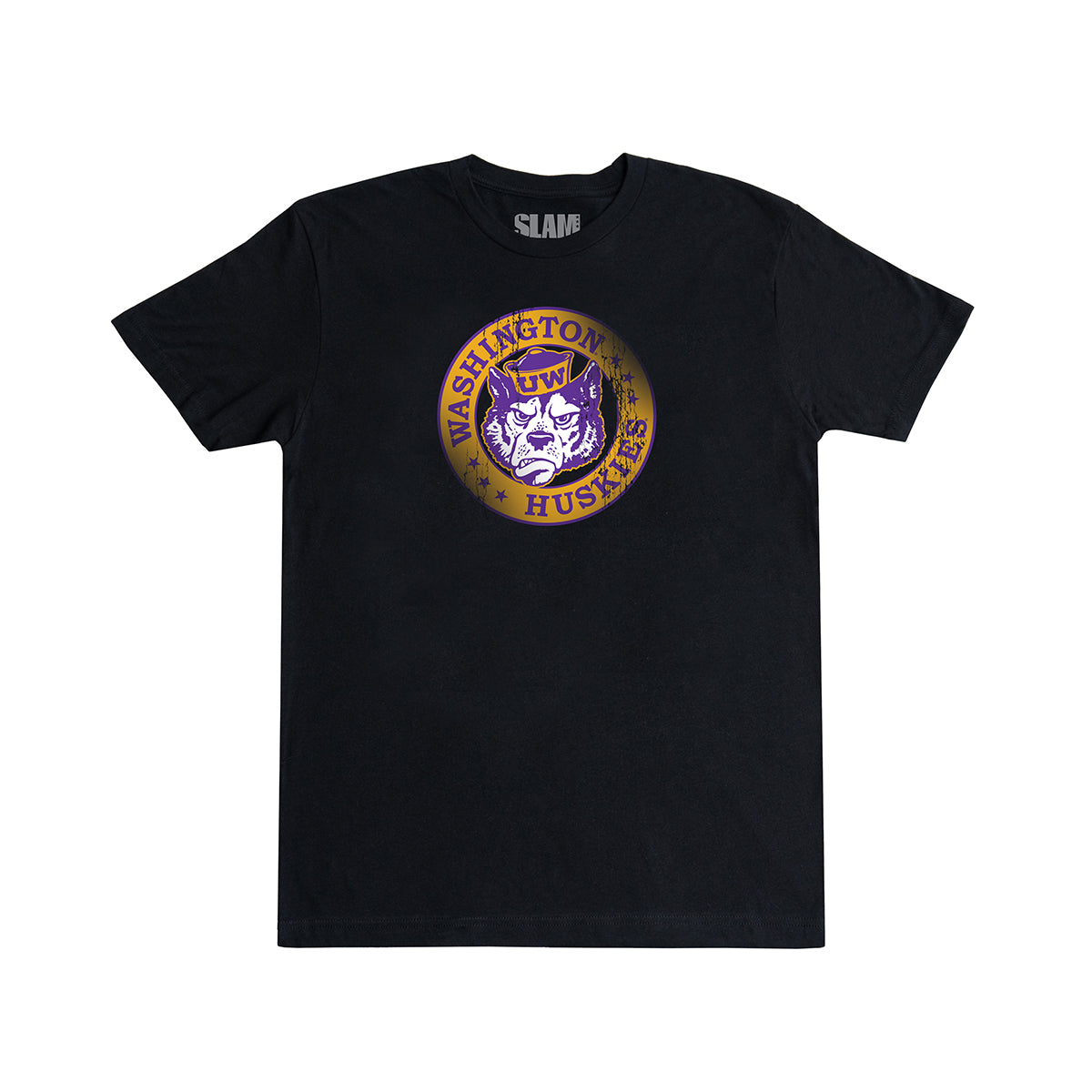 Washington Circle Vintage T