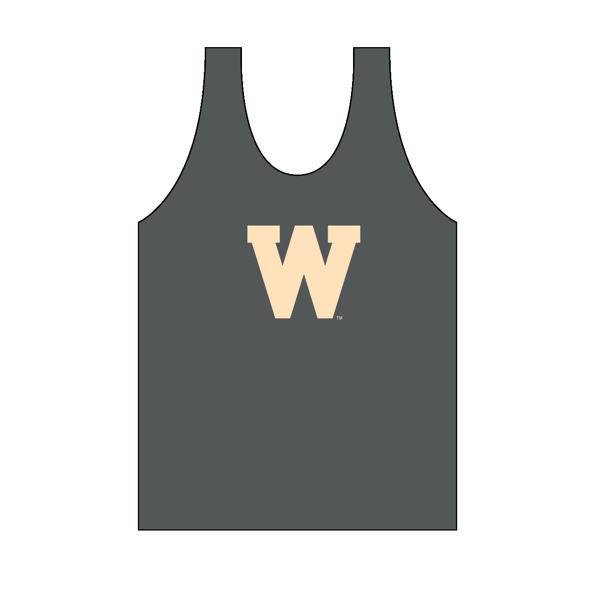 Wisconsin Monochromatic Jersey