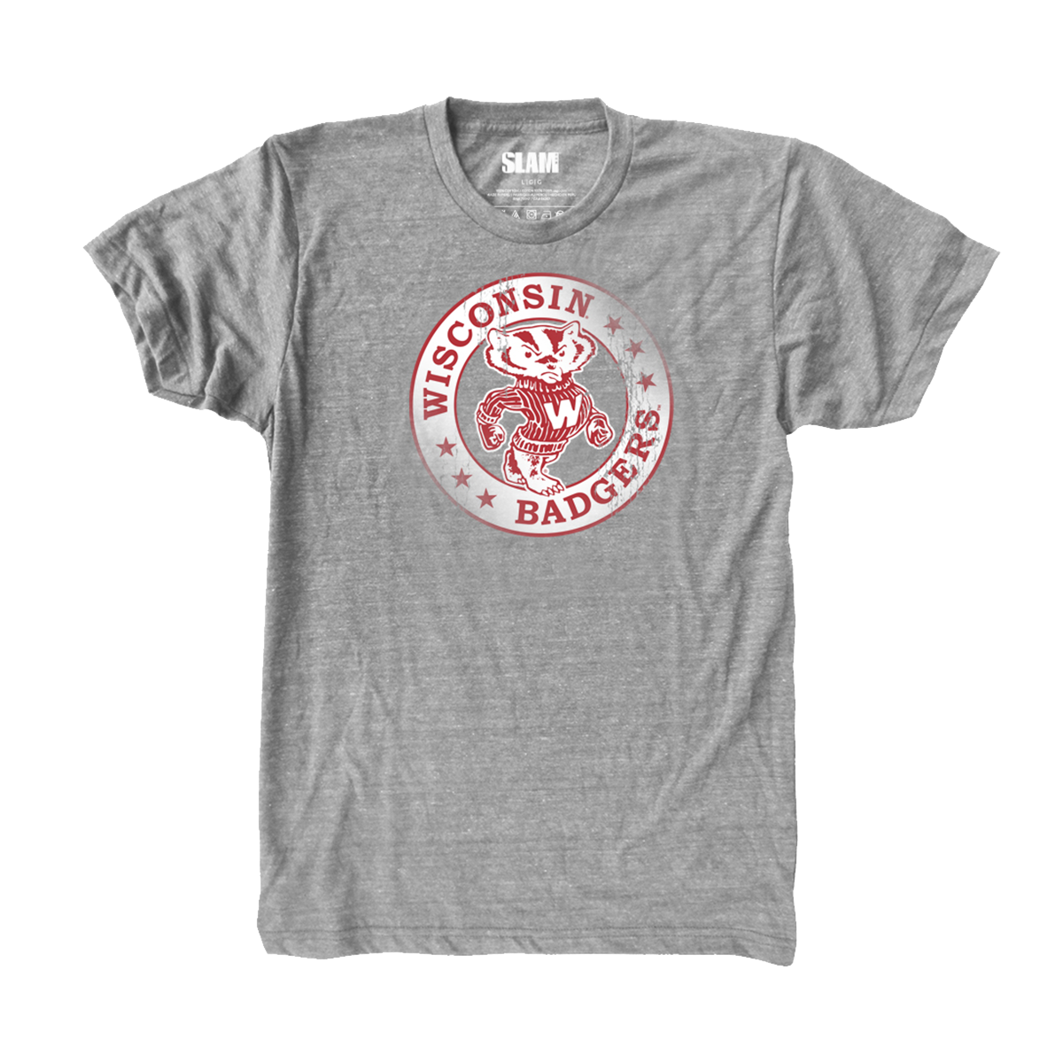 Wisconsin Circle Vintage T
