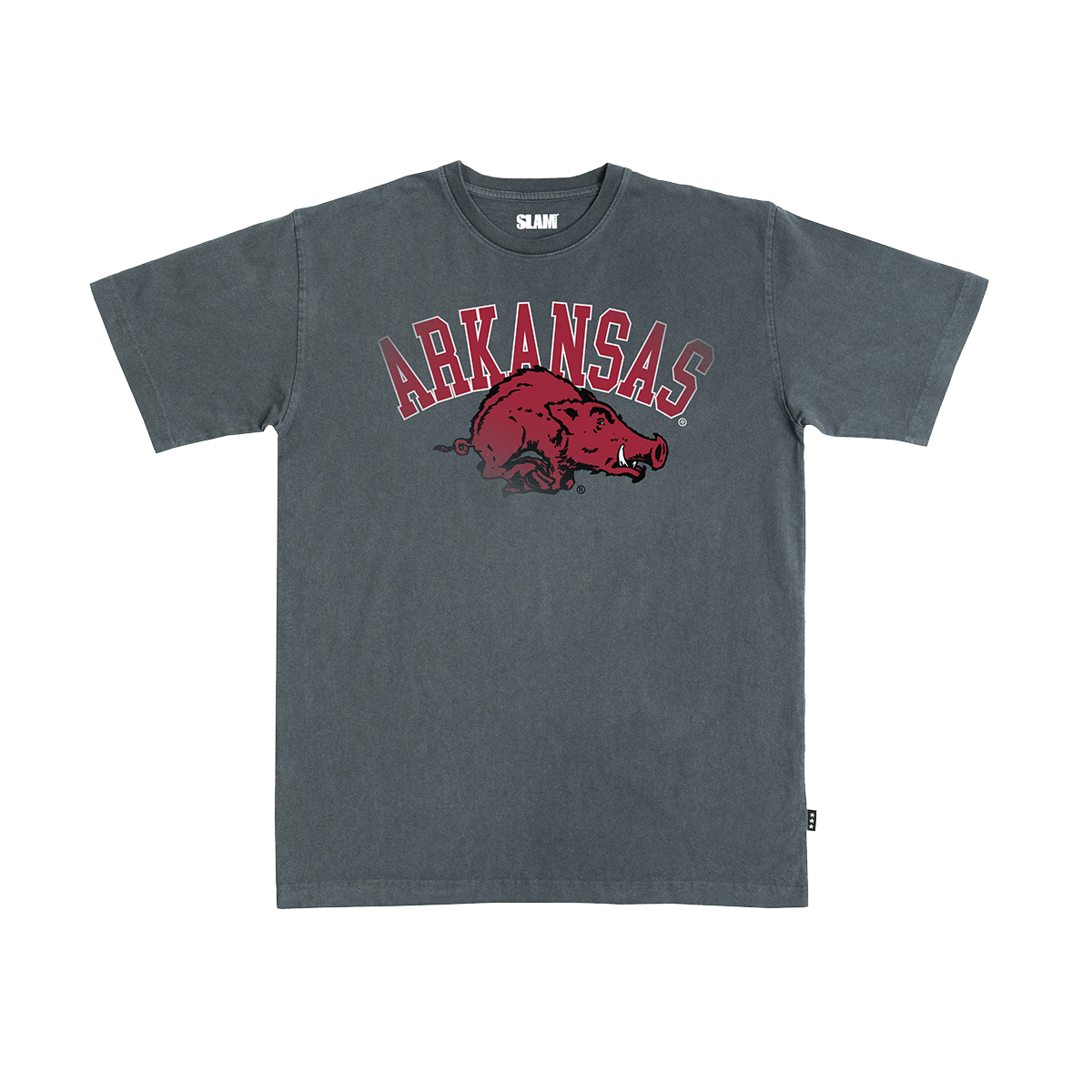 Arkansas Big Logo Heavy Tee