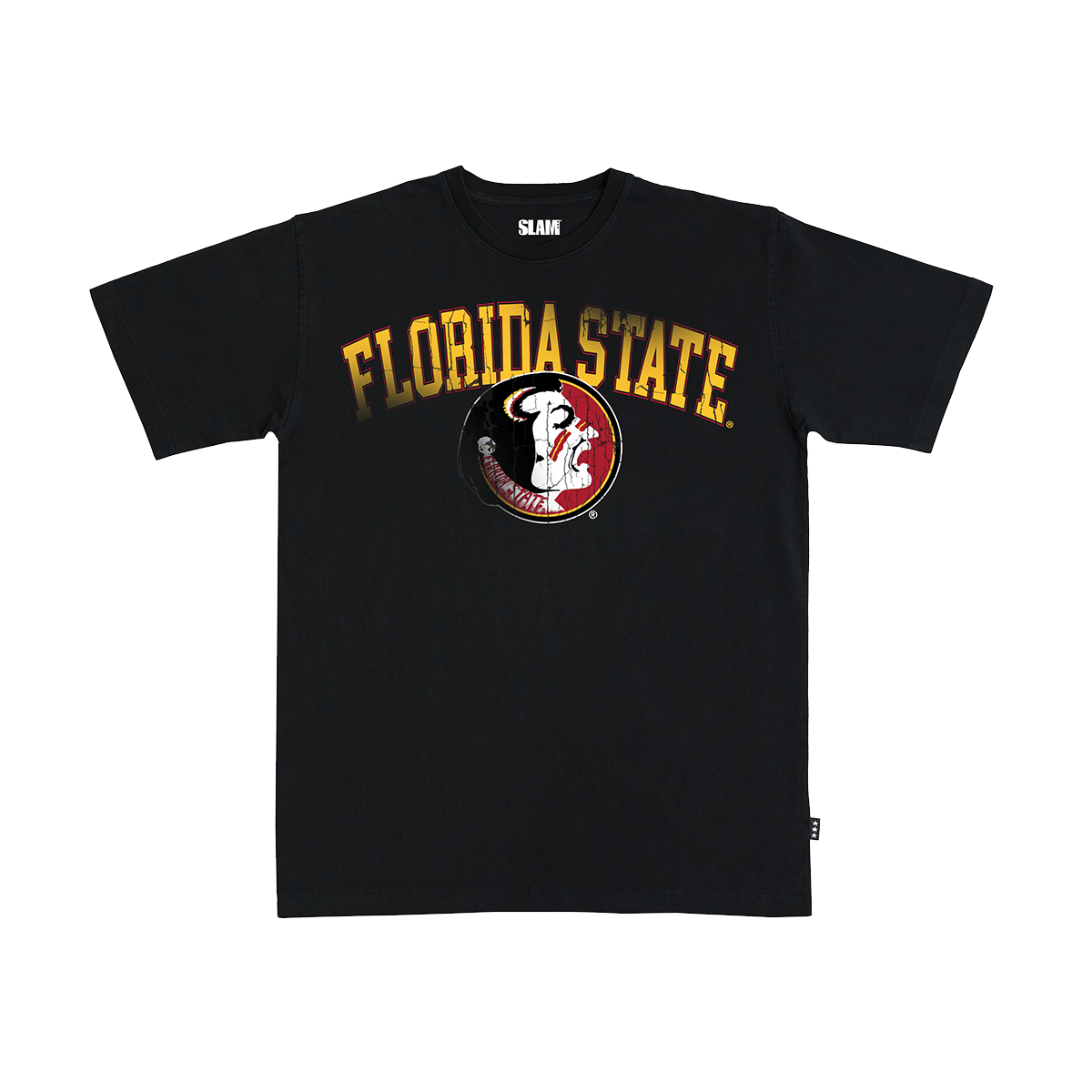 Florida State Big Logo Heavy Tee
