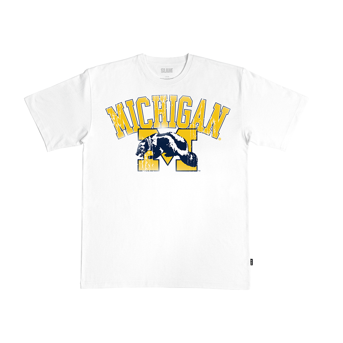 Michigan Big Logo Heavy Tee
