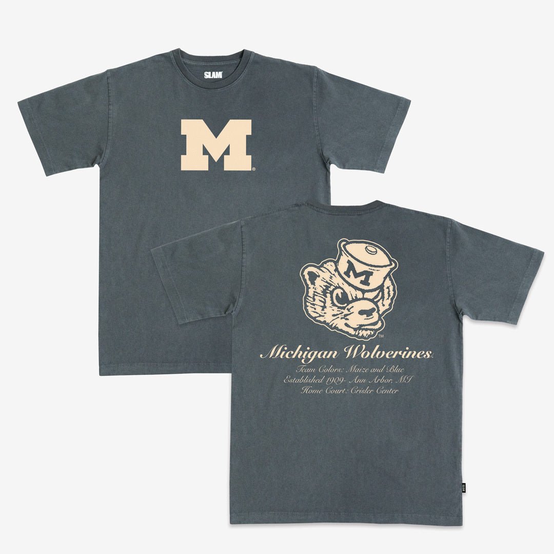 Michigan Monochromatic Heavy Tee