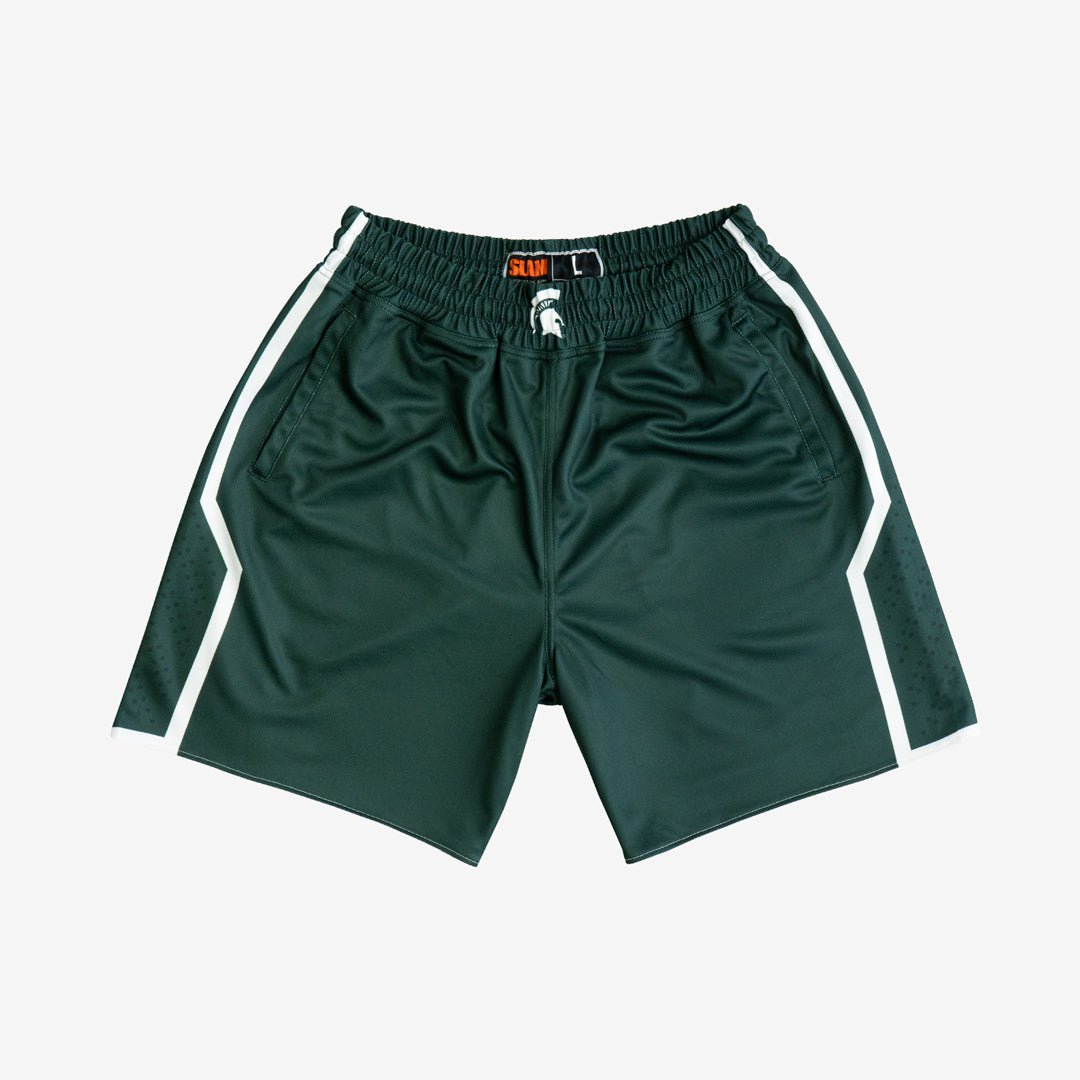 Michigan State Spartans 2009-2010 Away