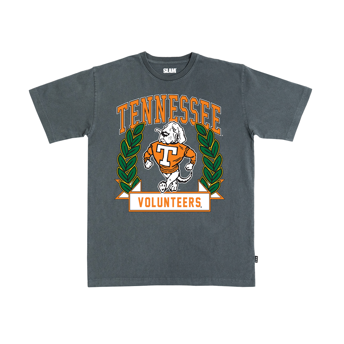 Tennessee Collegiate Heavy Tee