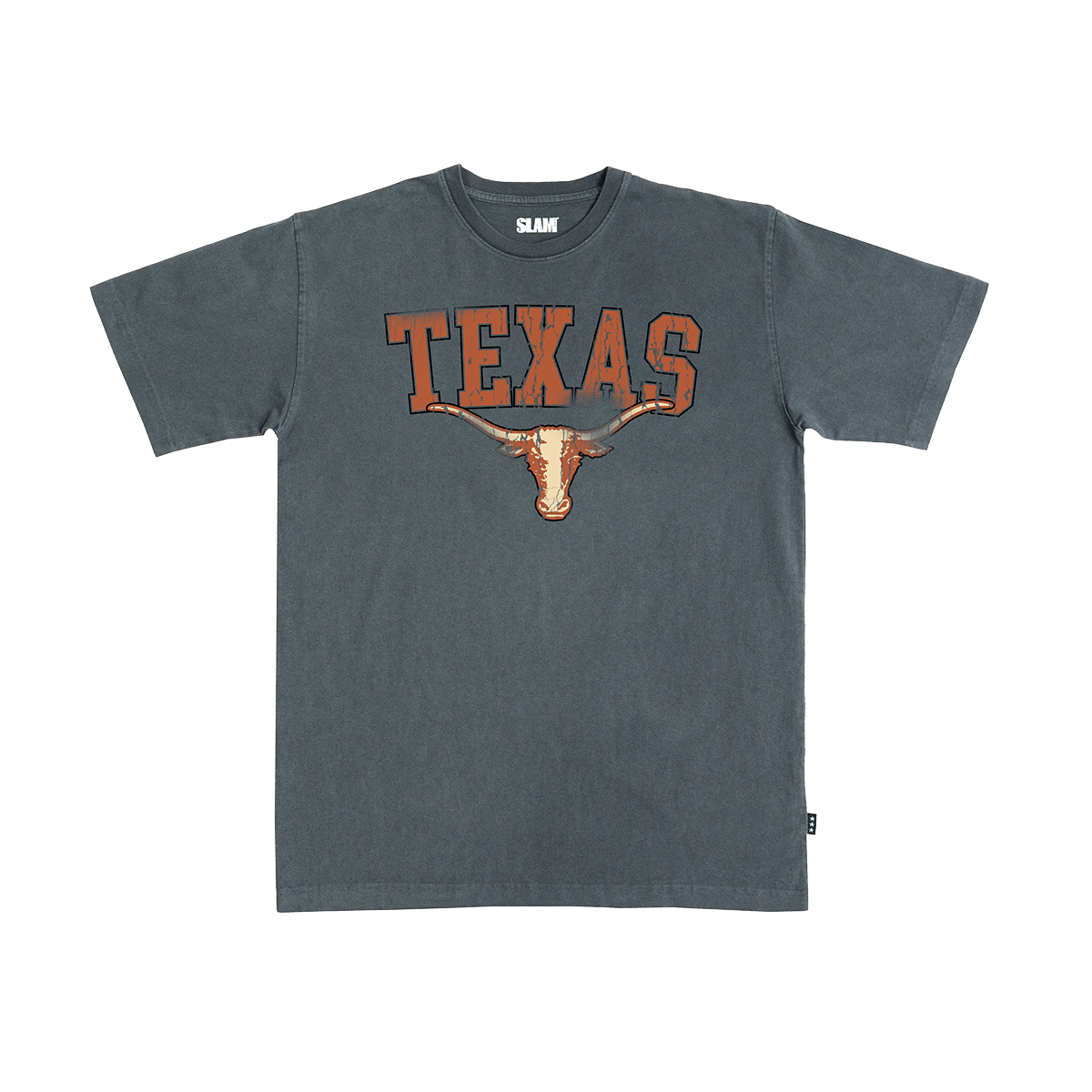 Texas Big Logo Heavy Tee